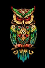 Colorful Artistic Owl Wall Art (2x3 Fit) - Image 2