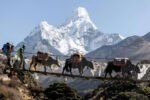 Everest Trekking Adventure Tour ( 2x3 Fit ) - Image 2
